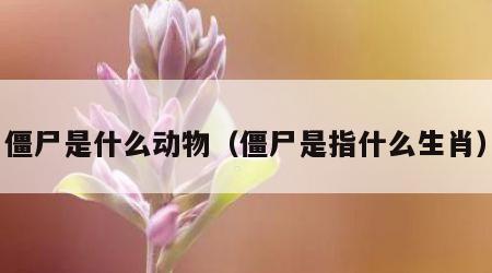 僵尸是什么动物（僵尸是指什么生肖）