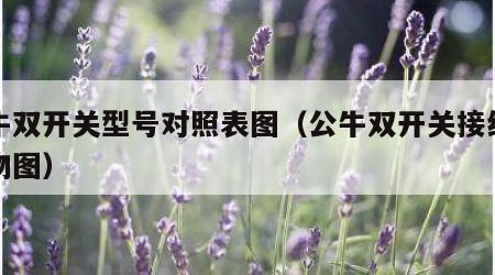 公牛双开关型号对照表图（公牛双开关接线图实物图）