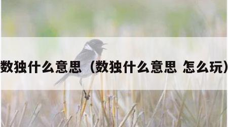 数独什么意思（数独什么意思 怎么玩）