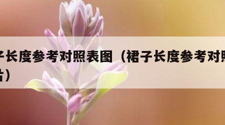 裙子长度参考对照表图（裙子长度参考对照表图片）