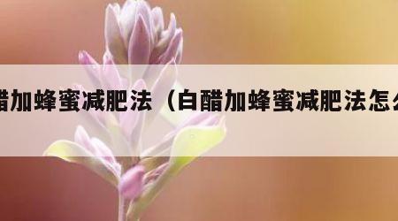 白醋加蜂蜜减肥法（白醋加蜂蜜减肥法怎么做）
