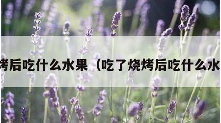 烧烤后吃什么水果（吃了烧烤后吃什么水果）
