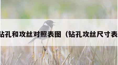 钻孔和攻丝对照表图（钻孔攻丝尺寸表）