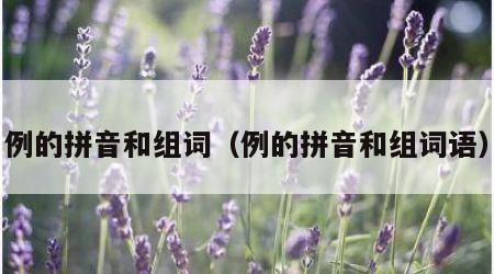例的拼音和组词（例的拼音和组词语）