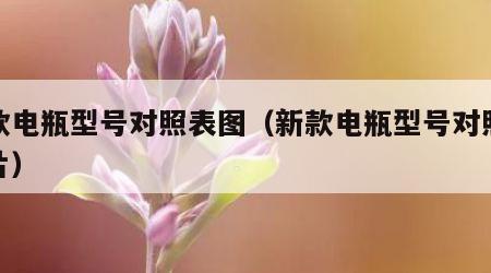 新款电瓶型号对照表图（新款电瓶型号对照表图片）