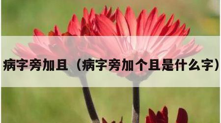 病字旁加且（病字旁加个且是什么字）