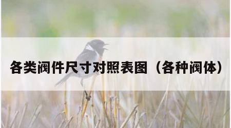 各类阀件尺寸对照表图（各种阀体）