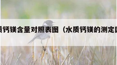 水质钙镁含量对照表图（水质钙镁的测定国标）