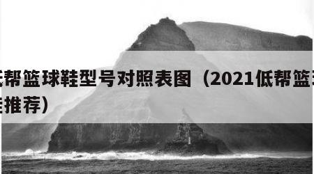 低帮篮球鞋型号对照表图（2021低帮篮球鞋推荐）