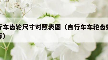 自行车齿轮尺寸对照表图（自行车车轮齿数怎么算）