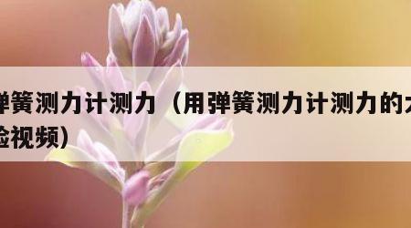用弹簧测力计测力（用弹簧测力计测力的大小实验视频）