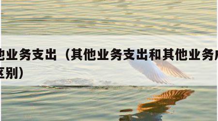 其他业务支出（其他业务支出和其他业务成本的区别）