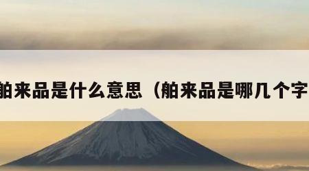 舶来品是什么意思（舶来品是哪几个字）