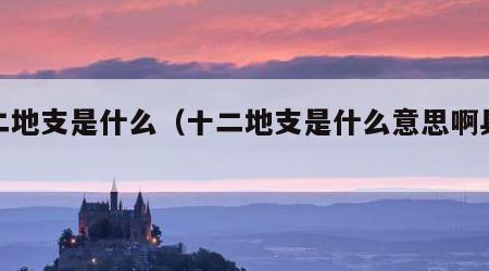 十二地支是什么（十二地支是什么意思啊具体讲）