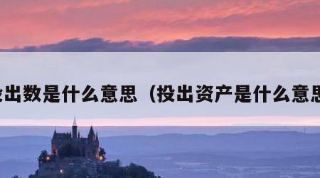投出数是什么意思（投出资产是什么意思）