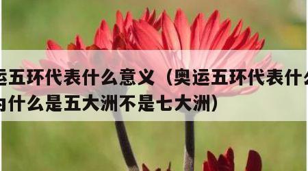 奥运五环代表什么意义（奥运五环代表什么意义为什么是五大洲不是七大洲）