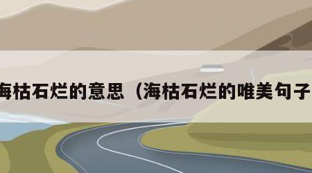 海枯石烂的意思（海枯石烂的唯美句子）