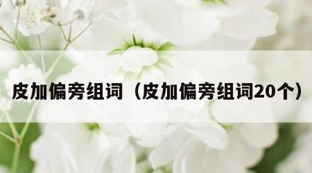皮加偏旁组词（皮加偏旁组词20个）
