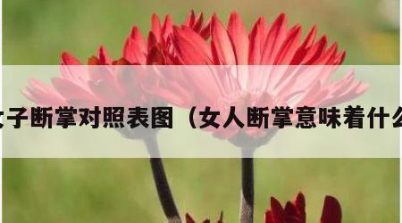 女子断掌对照表图（女人断掌意味着什么）