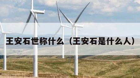 王安石世称什么（王安石是什么人）