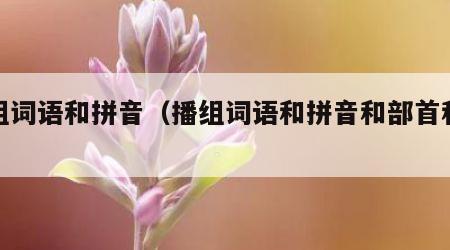 播组词语和拼音（播组词语和拼音和部首和结构）