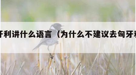 匈牙利讲什么语言（为什么不建议去匈牙利生活）