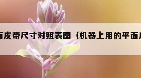 平面皮带尺寸对照表图（机器上用的平面皮带）