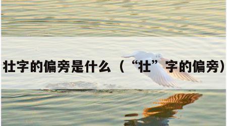 壮字的偏旁是什么（“壮”字的偏旁）