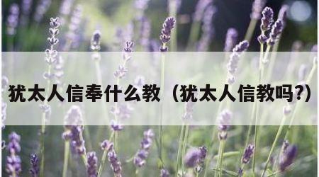 犹太人信奉什么教（犹太人信教吗?）