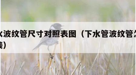下水波纹管尺寸对照表图（下水管波纹管怎么连接）