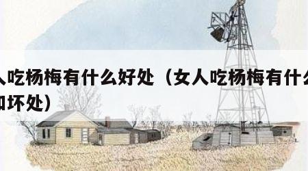 女人吃杨梅有什么好处（女人吃杨梅有什么好处和坏处）