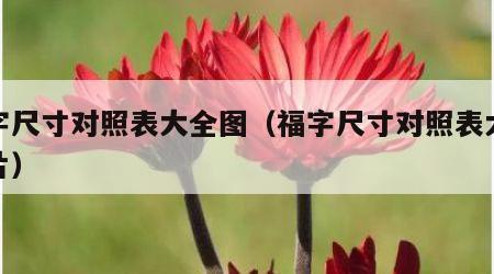 福字尺寸对照表大全图（福字尺寸对照表大全图片）