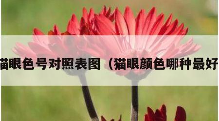 猫眼色号对照表图（猫眼颜色哪种最好）
