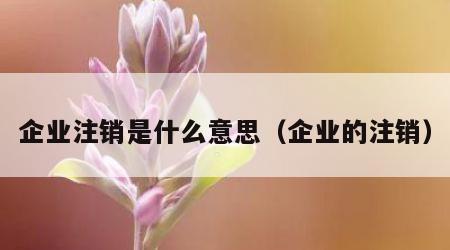 企业注销是什么意思（企业的注销）