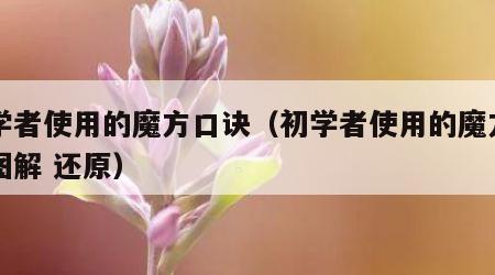 初学者使用的魔方口诀（初学者使用的魔方口诀图解 还原）