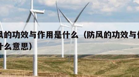 防风的功效与作用是什么（防风的功效与作用是什么意思）