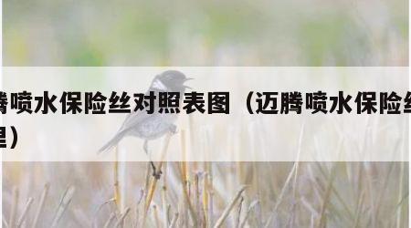 迈腾喷水保险丝对照表图（迈腾喷水保险丝在哪里）