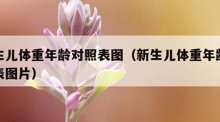 新生儿体重年龄对照表图（新生儿体重年龄对照表图片）