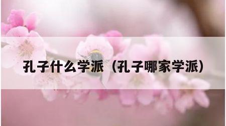 孔子什么学派（孔子哪家学派）