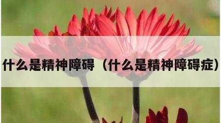什么是精神障碍（什么是精神障碍症）