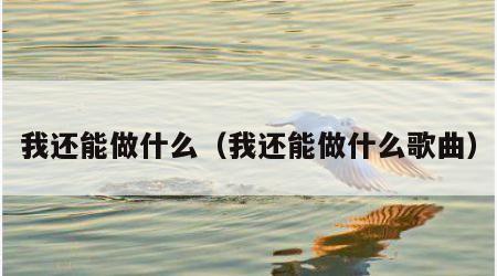 我还能做什么（我还能做什么歌曲）
