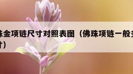 佛珠金项链尺寸对照表图（佛珠项链一般多大尺寸）