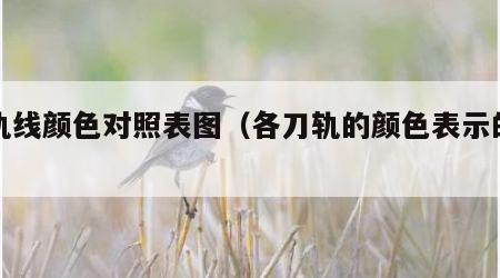 刀轨线颜色对照表图（各刀轨的颜色表示的含义）