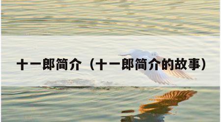 十一郎简介（十一郎简介的故事）