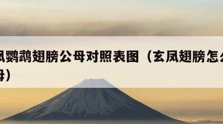 玄凤鹦鹉翅膀公母对照表图（玄凤翅膀怎么看公母）