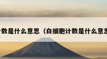 计数是什么意思（白细胞计数是什么意思）