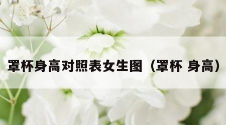 罩杯身高对照表女生图（罩杯 身高）