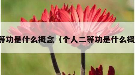 二等功是什么概念（个人二等功是什么概念）