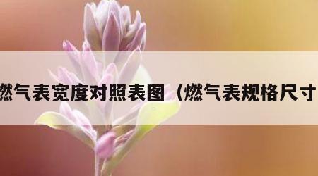 燃气表宽度对照表图（燃气表规格尺寸）