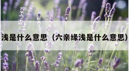 浅是什么意思（六亲缘浅是什么意思）